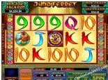 slot machine oyna Judo Ferret NuWorks